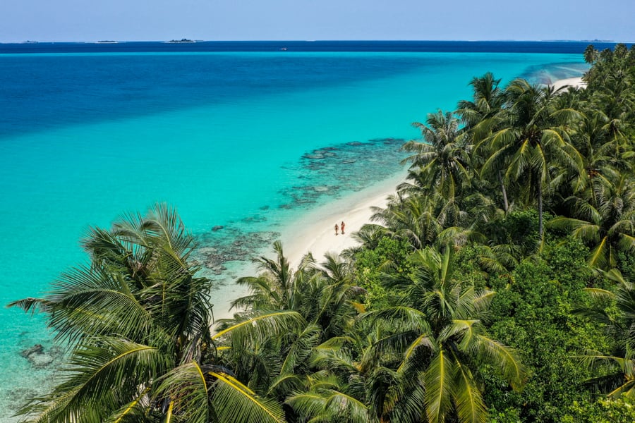 Drone picture of the beach and jungle at Dhigurah island in the Maldives