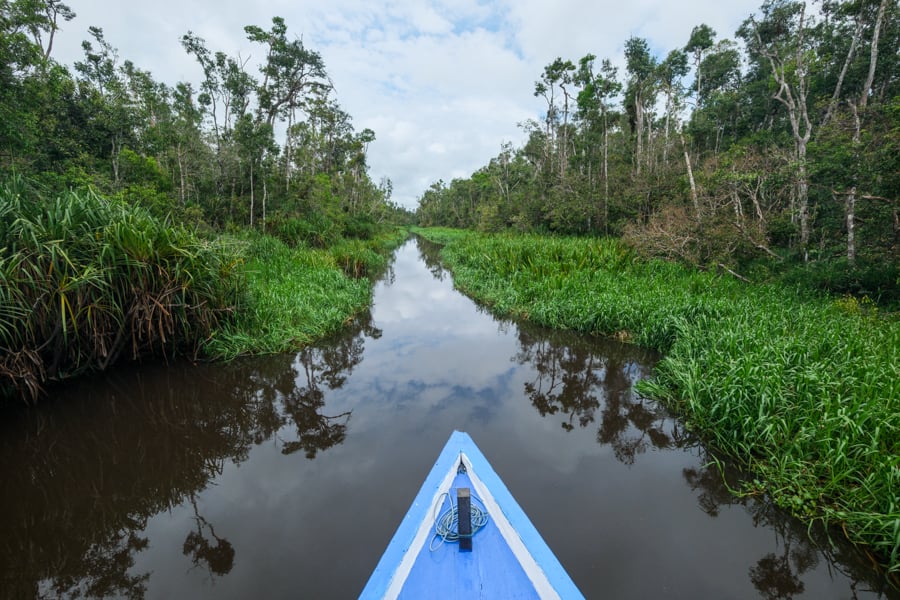 Sekonyer Black River Water