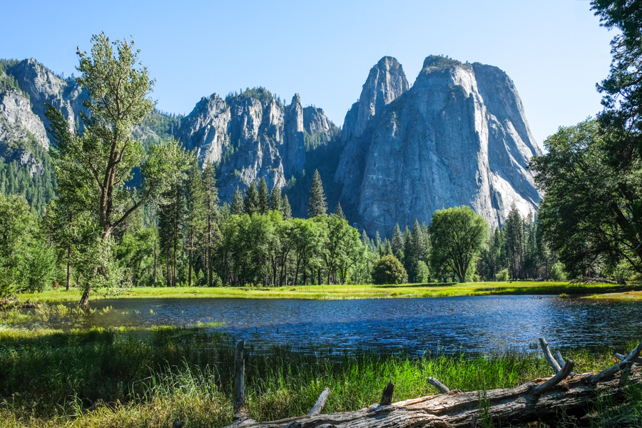 Cathedral Rocks Viewpoint Yosemite National Park One Day Itinerary