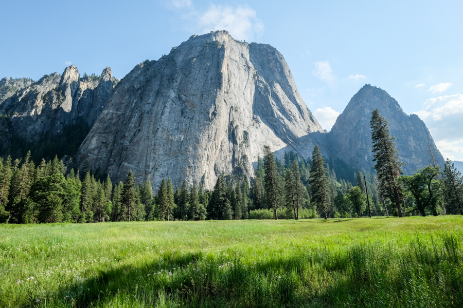 El Capitan Meadow Yosemite National Park One Day Itinerary