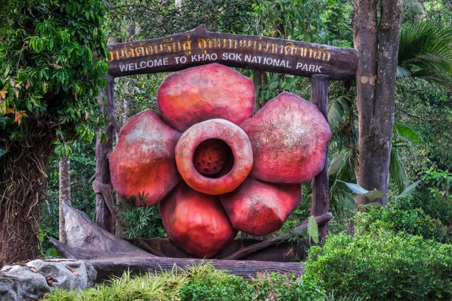 Rafflesia flower sign at the park entrance