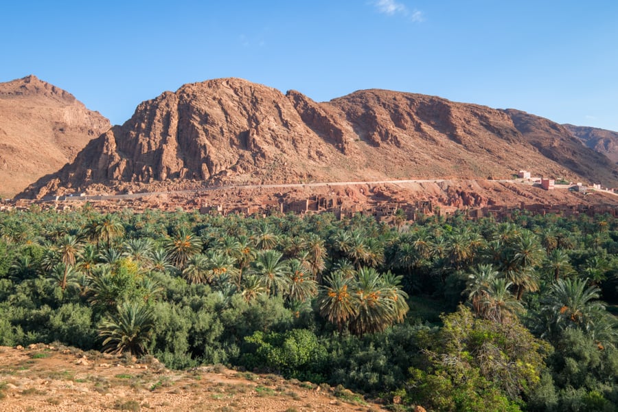 Mountains and palm trees in Tinghir valley