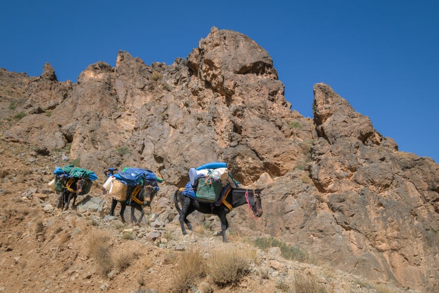 Mules on the trail near Imlil