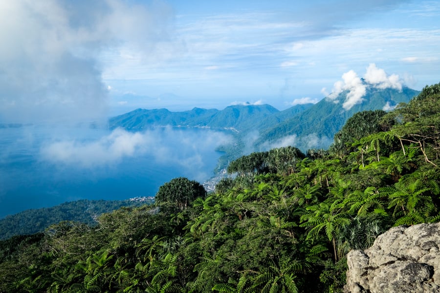 Jungle covered Siau bay