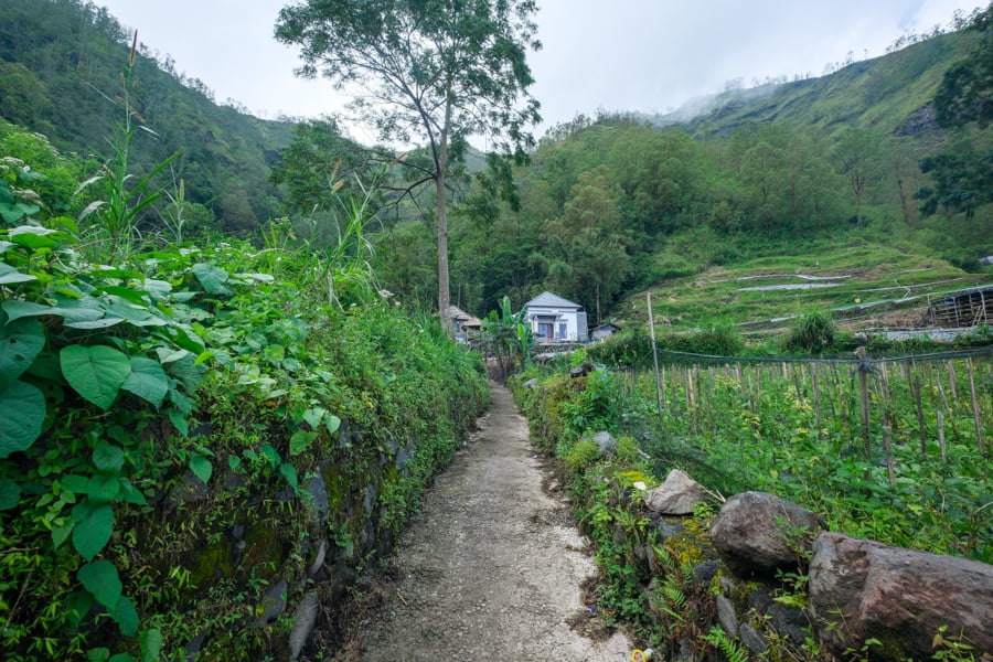 Alley trailhead path