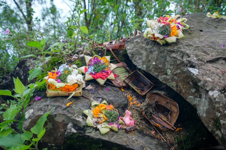 Hindu offerings in the forest