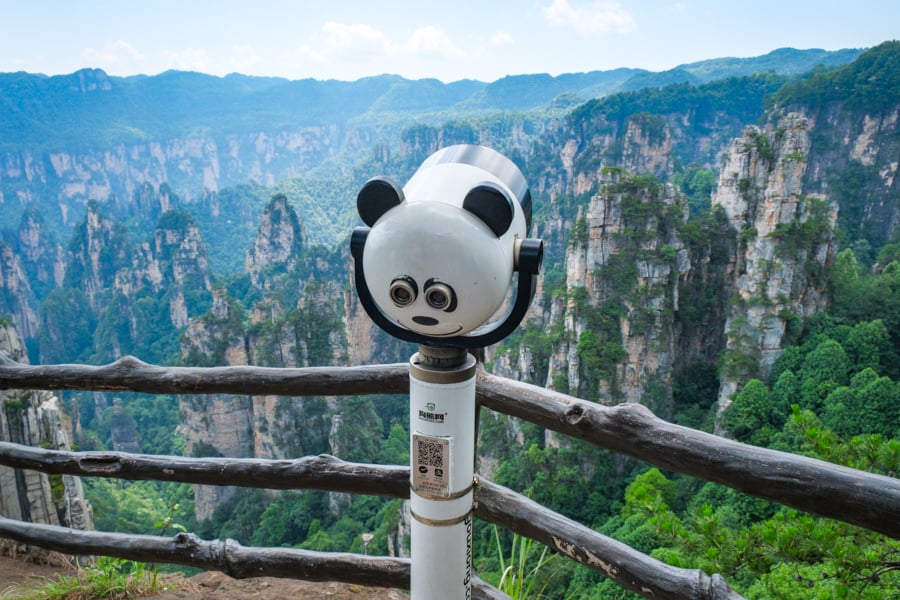 Panda bear binoculars at Tianzi
