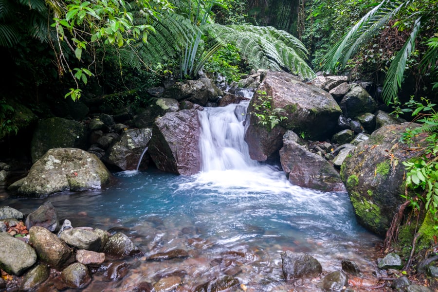 A nice little waterfall at the trailhead