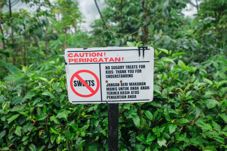 Warning sign saying not to feed sweet candy to the local kids