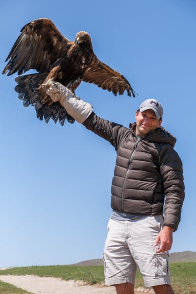 Traveler with a glove holding a steppe eagle