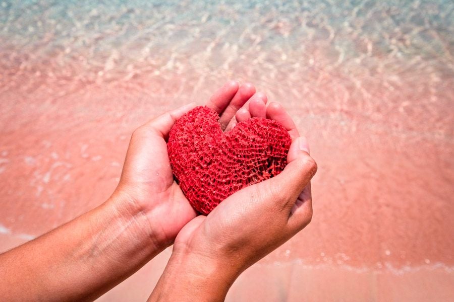 A heart shaped piece of coral at the Pink Beach in Komodo