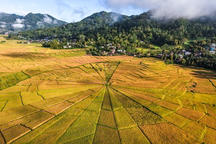 Lingko spiderweb rice terraces near Ruteng
