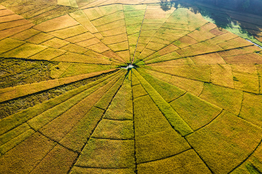 Lingko spiderweb rice terraces near Ruteng Drone