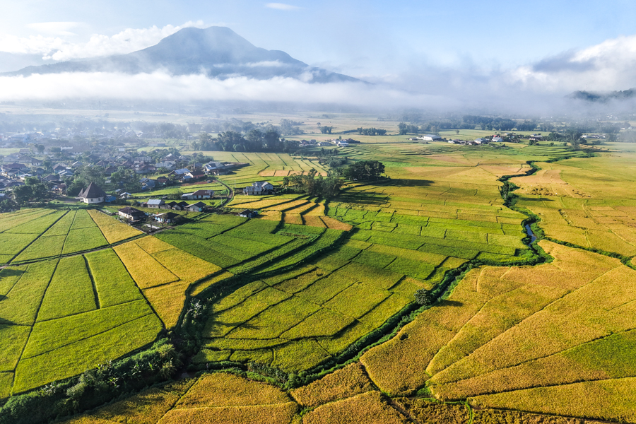 Lingko spiderweb rice terraces near Ruteng Drone