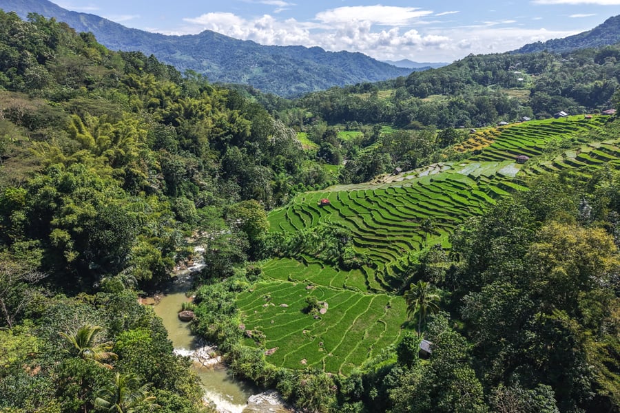 Rice terraces and river near Tengkulese