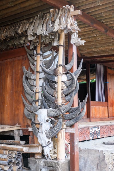 Buffalo skull bones hanging at Tololela Village