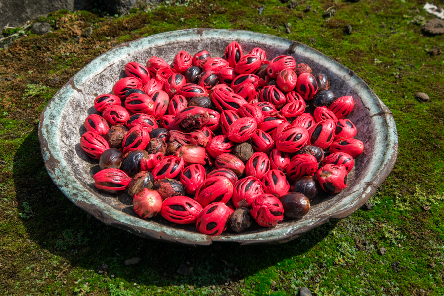 A bowl of nutmeg seeds and mace