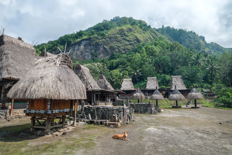 Tololela traditional village near Bajawa