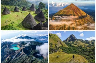 Best Things To Do & See