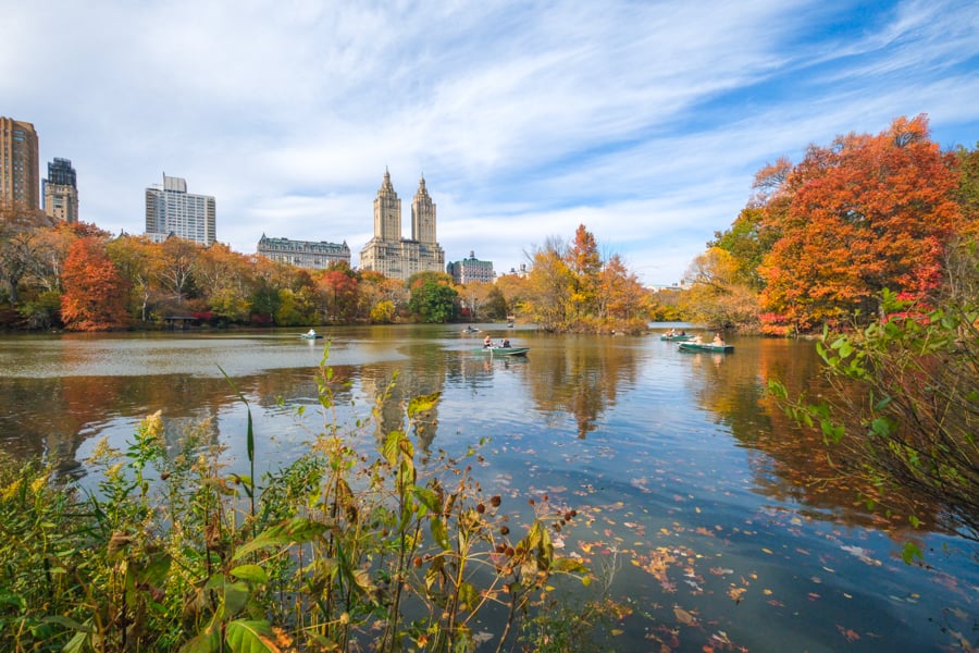 Lake reflections at Wood Chip vantage point in Central Park NYC