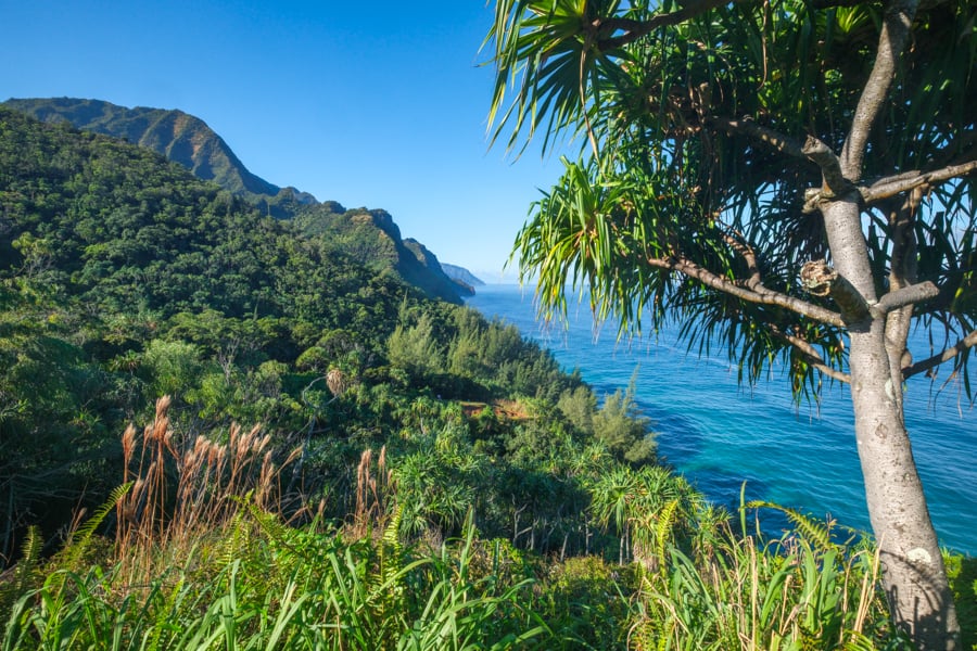 Early views on the Kalalau Trail in Kauai Hawaii