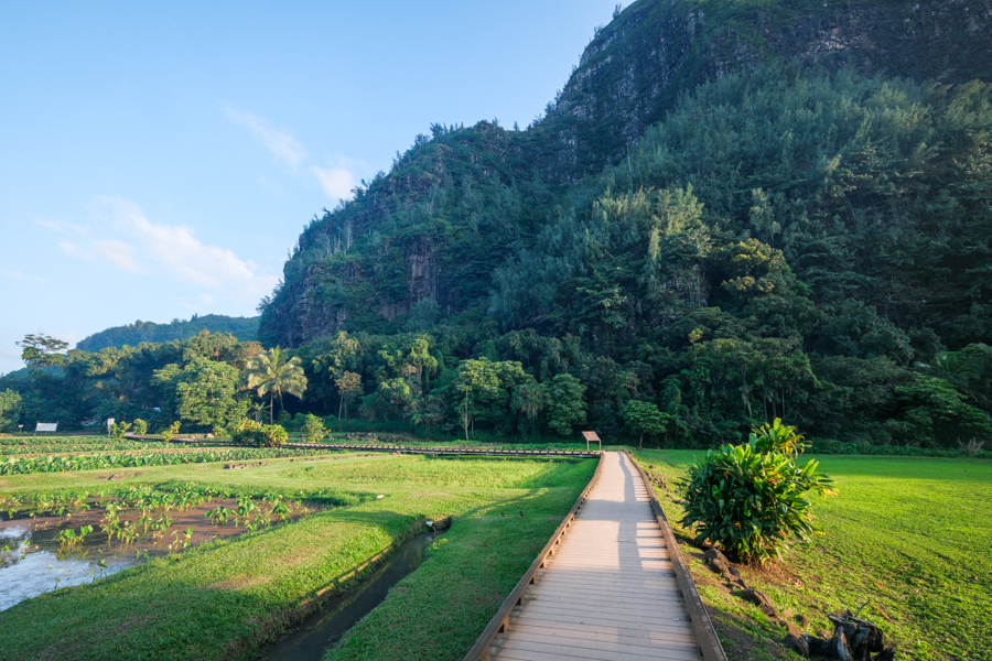 Planks and crops at the trailhead parking