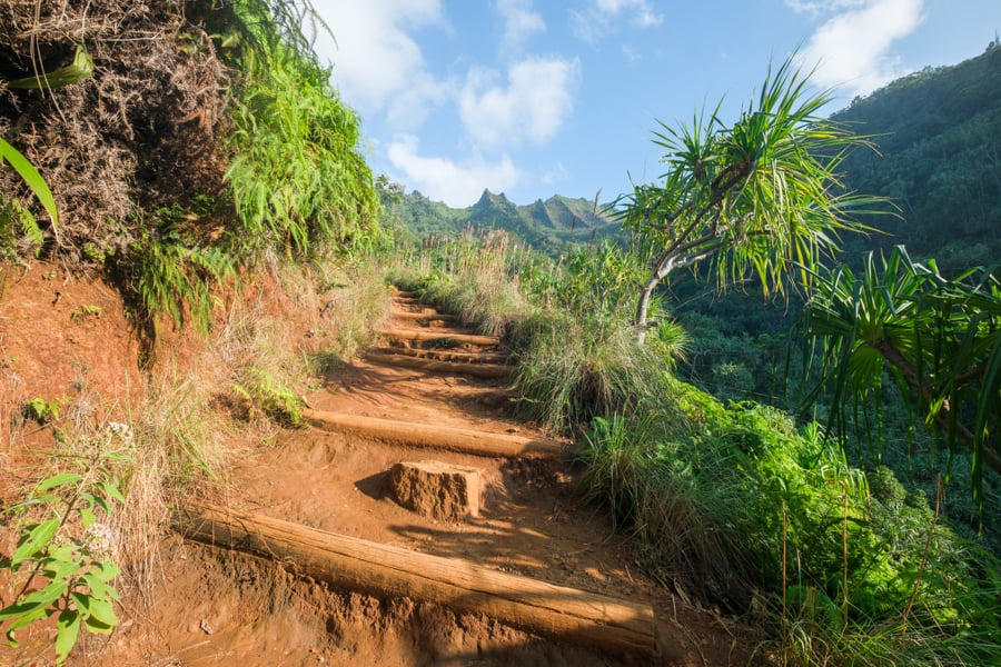 Hiking path on the trail