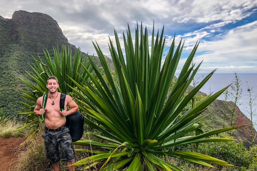 Giant plant along the trail