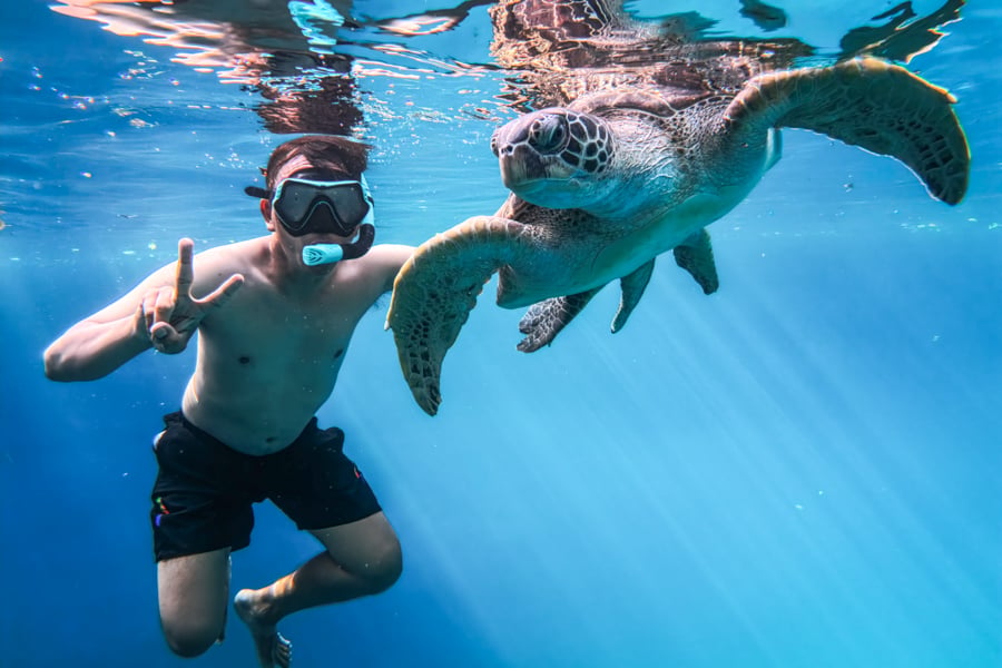 Swimming with a sea turtle at the Moko lake in Muna Sulawesi