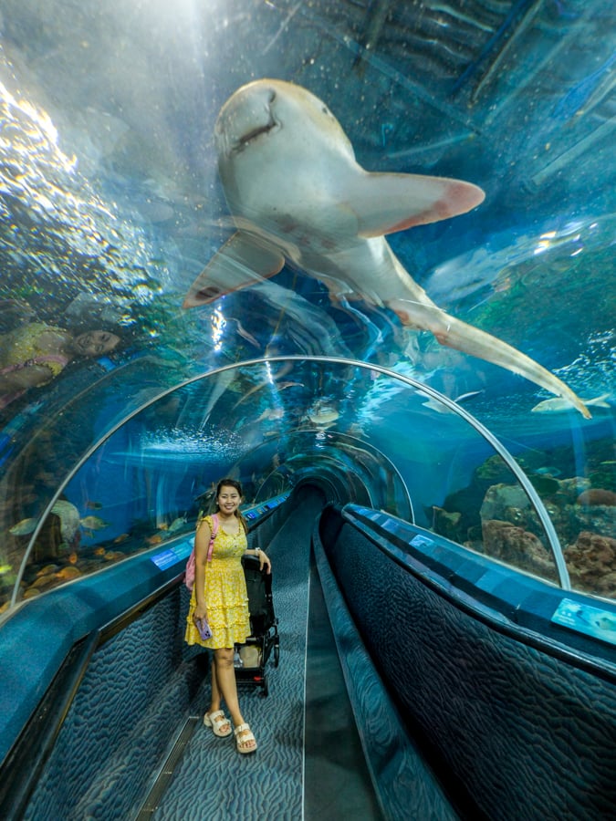 Shark tunnel at the Shanghai Aquarium in China