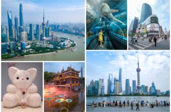9 Fun Things To See & Do In Shanghai For First-Timers